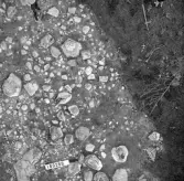 Björskog sn Åsta 2:3 Arkeologisk undersökning p g a breddning av väg 510 av Vlm / Henry Simonsson 6 - 24/8 1962 Rapport i Vlm:s arkiv.
Negativ till fotokarta

Koordinater X160 Y260
Samhör med:  inv.nr 14641 - 14642