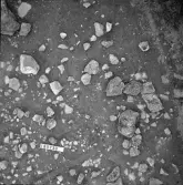 Björskog sn Åsta 2:3 Arkeologisk undersökning p g a breddning av väg 510 av Vlm / Henry Simonsson 6 - 24/8 1962 Rapport i Vlm:s arkiv.
Negativ till fotokarta

Koordinater X165 Y230
Samhör med:  inv.nr 14641 - 14642