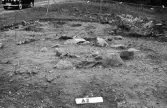 Romfartuna sn Äs RAÄ 119 Arkeologisk undersökning utförd av Vlm / Åke Hyenstrand och Ann Nilsson 1967.
A2 Stensättning, rund (Södra delen) efter rensning.