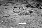 Romfartuna sn Äs RAÄ 119 Arkeologisk undersökning utförd av Vlm / Åke Hyenstrand och Ann Nilsson 1967.
A2 Stensättning, rund (Södra delen) efter rensning.