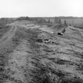 Romfartuna sn Äs RAÄ 119 Arkeologisk undersökning utförd av Vlm / Åke Hyenstrand och Ann Nilsson 1967
A3 Stenkista, raserad, belägen vid grustagskant NNÖ respektive Ö om gravfältet.