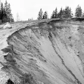 Romfartuna sn Äs RAÄ 119 Arkeologisk undersökning utförd av Vlm / Åke Hyenstrand och Ann Nilsson 1967
A3 Stenkista, raserad, belägen vid grustagskant NNÖ respektive Ö om gravfältet.