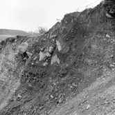 Romfartuna sn Äs RAÄ 119 Arkeologisk undersökning utförd av Vlm / Åke Hyenstrand och Ann Nilsson 1967
A3 Stenkista, raserad, belägen vid grustagskant NNÖ respektive Ö om gravfältet.