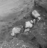 Romfartuna sn Äs RAÄ 119 Arkeologisk undersökning utförd av Vlm / Åke Hyenstrand och Ann Nilsson 1967
A3 Stenkista, raserad, belägen vid grustagskant NNÖ respektive Ö om gravfältet.