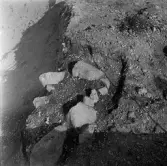 Romfartuna sn Äs RAÄ 119 Arkeologisk undersökning utförd av Vlm / Åke Hyenstrand och Ann Nilsson 1967
A3 Stenkista, raserad, belägen vid grustagskant NNÖ respektive Ö om gravfältet.