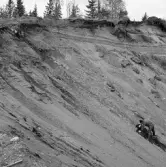 Romfartuna sn Äs RAÄ 119 Arkeologisk undersökning utförd av Vlm / Åke Hyenstrand och Ann Nilsson 1967
A3 Stenkista, raserad, belägen vid grustagskant NNÖ respektive Ö om gravfältet.