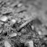 Romfartuna sn Äs RAÄ 119 Arkeologisk undersökning utförd av Vlm / Åke Hyenstrand och 
Ann Nilsson 1967
A3 Stenkista, raserad, belägen vid grustagskant NNÖ respektive Ö om gravfältet. Armringen in 
situ.