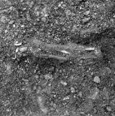 Romfartuna sn Äs RAÄ 119 Arkeologisk undersökning utförd av Vlm / Åke Hyenstrand och Ann Nilsson 1967
A3 Stenkista, raserad, belägen vid grustagskant NNÖ respektive Ö om gravfältet.