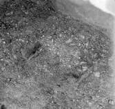 Romfartuna sn Äs RAÄ 119 Arkeologisk undersökning utförd av Vlm / Åke Hyenstrand och Ann Nilsson 1967
A3 Stenkista, raserad, belägen vid grustagskant NNÖ respektive Ö om gravfältet.