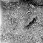 Romfartuna sn Äs RAÄ 119 Arkeologisk undersökning utförd av Vlm / Åke Hyenstrand och Ann Nilsson 1967
A3 Stenkista, raserad, belägen vid grustagskant NNÖ respektive Ö om gravfältet.