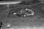Romfartuna sn Äs RAÄ 119 Arkeologisk undersökning utförd av Vlm / Åke Hyenstrand och Ann Nilsson 1967
A4 Stensättning, rund (Södra delen) efter rensning.