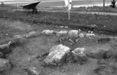 Romfartuna sn Äs RAÄ 119 Arkeologisk undersökning utförd av Vlm / Åke Hyenstrand och Ann Nilsson 1967
A4 Stensättning, rund (Södra delen) efter rensning.