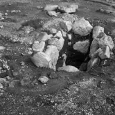 Romfartuna sn Äs RAÄ 119 Arkeologisk undersökning utförd av Vlm / Åke Hyenstrand och 
Ann Nilsson 1967