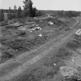 Romfartuna sn Äs RAÄ 119 Arkeologisk undersökning utförd av Vlm / Åke Hyenstrand och 
Ann Nilsson 1967