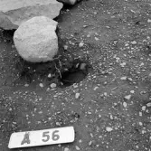 Romfartuna sn Äs RAÄ 119 Arkeologisk undersökning utförd av Vlm / Åke Hyenstrand och 
Ann Nilsson 1967