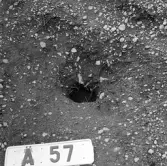 Romfartuna sn Äs RAÄ 119 Arkeologisk undersökning utförd av Vlm / Åke Hyenstrand och 
Ann Nilsson 1967