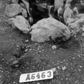 Romfartuna sn Äs RAÄ 119 Arkeologisk undersökning utförd av Vlm / Åke Hyenstrand och 
Ann Nilsson 1967