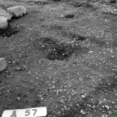 Romfartuna sn Äs RAÄ 119 Arkeologisk undersökning utförd av Vlm / Åke Hyenstrand och Ann Nilsson 1967
A8 Husgrund, markerad av lerklining, härdar och stolphål.
A57 Stolphål
Samhör med:  Inv.nr 18164