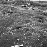 Romfartuna sn Äs RAÄ 119 Arkeologisk undersökning utförd av Vlm / Åke Hyenstrand och Ann Nilsson 1967
A8 Husgrund, markerad av lerklining, härdar och stolphål.
A36 Stolphål
Samhör med:  Inv.nr 18164