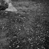 Romfartuna sn Äs RAÄ 119 Arkeologisk undersökning utförd av Vlm / Åke Hyenstrand och Ann Nilsson 1967
A8 Husgrund, markerad av lerklining, härdar och stolphål.
Samhör med:  Inv.nr 18164