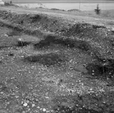 Romfartuna sn Äs RAÄ 119 Arkeologisk undersökning utförd av Vlm / Åke Hyenstrand och Ann Nilsson 1967
A8 Husgrund, markerad av lerklining, härdar och stolphål.
:: Samhör med:  Inv.nr 18164