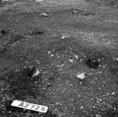 Romfartuna sn Äs RAÄ 119 Arkeologisk undersökning utförd av Vlm / Åke Hyenstrand och 
Ann Nilsson 1967