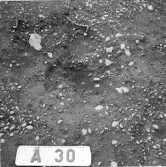 Romfartuna sn Äs RAÄ 119 Arkeologisk undersökning utförd av Vlm / Åke Hyenstrand och Ann Nilsson 1967
A8 Husgrund, markerad av lerklining, härdar och stolphål.
A30 Stolphål
Samhör med:  Inv.nr 18164