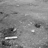 Romfartuna sn Äs RAÄ 119 Arkeologisk undersökning utförd av Vlm / Åke Hyenstrand och Ann Nilsson 1967
A8 Husgrund, markerad av lerklining, härdar och stolphål.
A26 och A27 Stolphål
Samhör med:  Inv.nr 18164