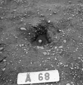 Romfartuna sn Äs RAÄ 119 Arkeologisk undersökning utförd av Vlm / Åke Hyenstrand och Ann Nilsson 1967
A8 Husgrund, markerad av lerklining, härdar och stolphål.
A68 Stolphål
Samhör med:  Inv.nr 18164