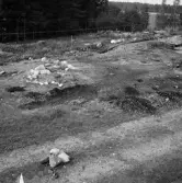 Romfartuna sn Äs RAÄ 119 Arkeologisk undersökning utförd av Vlm / Åke Hyenstrand och Ann Nilsson 1967
A8 Husgrund, markerad av lerklining, härdar och stolphål.
Samhör med:  Inv.nr 18164