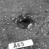 Romfartuna sn Äs RAÄ 119 Arkeologisk undersökning utförd av Vlm / Åke Hyenstrand och Ann Nilsson 1967
A8 Husgrund, markerad av lerklining, härdar och stolphål.
A65 Stolphål
Samhör med:  Inv.nr 18164