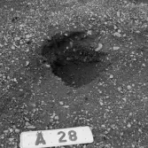 Romfartuna sn Äs RAÄ 119 Arkeologisk undersökning utförd av Vlm / Åke Hyenstrand och Ann Nilsson 1967
A8 Husgrund, markerad av lerklining, härdar och stolphål.
A28 Stolphål
Samhör med:  Inv.nr 18164