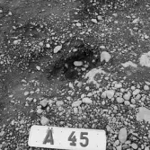 Romfartuna sn Äs RAÄ 119 Arkeologisk undersökning utförd av Vlm / Åke Hyenstrand och Ann Nilsson 1967
A8 Husgrund, markerad av lerklining, härdar och stolphål.
A45 Stolphål
Samhör med:  Inv.nr 18164