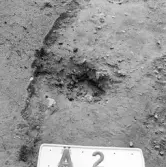 Romfartuna sn Äs RAÄ 119 Arkeologisk undersökning utförd av Vlm / Åke Hyenstrand och Ann Nilsson 1967
A8 Husgrund, markerad av lerklining, härdar och stolphål.
Stolphål
Samhör med:  Inv.nr 18164