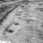 Romfartuna sn Äs RAÄ 119 Arkeologisk undersökning utförd av Vlm / Åke Hyenstrand och Ann Nilsson 1967
A8 Husgrund, markerad av lerklining, härdar och stolphål.
Östra stolphålsraden från N.
Samhör med:  Inv.nr 18164