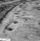 Romfartuna sn Äs RAÄ 119 Arkeologisk undersökning utförd av Vlm / Åke Hyenstrand och 
Ann Nilsson 1967