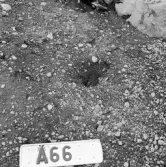 Romfartuna sn Äs RAÄ 119 Arkeologisk undersökning utförd av Vlm / Åke Hyenstrand och Ann Nilsson 1967
A8 Husgrund, markerad av lerklining, härdar och stolphål.
A66 Stolphål
Samhör med:  Inv.nr 18164