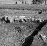 Romfartuna sn Äs RAÄ 119 Arkeologisk undersökning utförd av Vlm / Åke Hyenstrand och Ann Nilsson 1967
A8 Husgrund, markerad av lerklining, härdar och stolphål.
A66 Stolphål
Samhör med:  Inv.nr 18164