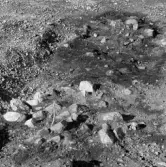 Romfartuna sn Äs RAÄ 119 Arkeologisk undersökning utförd av Vlm / Åke Hyenstrand och Ann Nilsson 1967
A8 Husgrund, markerad av lerklining, härdar och stolphål.
:: Samhör med:  Inv.nr 18164