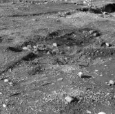 Romfartuna sn Äs RAÄ 119 Arkeologisk undersökning utförd av Vlm / Åke Hyenstrand och Ann Nilsson 1967
A8 Husgrund, markerad av lerklining, härdar och stolphål.
Under undersökning.
Samhör med:  Inv.nr 18164