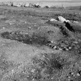 Romfartuna sn Äs RAÄ 119 Arkeologisk undersökning utförd av Vlm / Åke Hyenstrand och Ann Nilsson 1967
A8 Husgrund, markerad av lerklining, härdar och stolphål.
Under undersökning.
Samhör med:  Inv.nr 18164