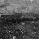 Romfartuna sn Äs RAÄ 119 Arkeologisk undersökning utförd av Vlm / Åke Hyenstrand och Ann Nilsson 1967
A8 Husgrund, markerad av lerklining, härdar och stolphål.
Under undersökning.
Samhör med:  Inv.nr 18164