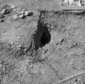 Romfartuna sn Äs RAÄ 119 Arkeologisk undersökning utförd av Vlm / Åke Hyenstrand och Ann Nilsson 1967
A8 Husgrund, markerad av lerklining, härdar och stolphål.