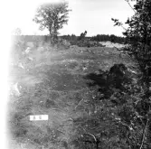 Romfartuna sn Äs RAÄ 119 Arkeologisk undersökning utförd av Vlm / Åke Hyenstrand och 
Ann Nilsson 1967