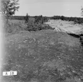 Romfartuna sn Äs RAÄ 119 Arkeologisk undersökning utförd av Vlm / Åke Hyenstrand och Ann Nilsson 1967
A10 Stensättning, rund (Norra delen) efter avtorvning.