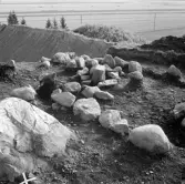 Romfartuna sn Äs RAÄ 119 Arkeologisk undersökning utförd av Vlm / Åke Hyenstrand och Ann Nilsson 1967
A10 Stensättning, rund.