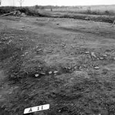 Romfartuna sn Äs RAÄ 119 Arkeologisk undersökning utförd av Vlm / Åke Hyenstrand och Ann Nilsson 1967
A11 Triangulär stensättning, efter avtorvning.