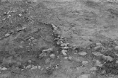 Romfartuna sn Äs RAÄ 119 Arkeologisk undersökning utförd av Vlm / Åke Hyenstrand och Ann Nilsson 1967
A11 Triangulär stensättning.