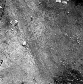 Romfartuna sn Äs RAÄ 119 Arkeologisk undersökning utförd av Vlm / Åke Hyenstrand och Ann Nilsson 1967
Tornfoto.