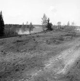 Romfartuna sn Äs RAÄ 119 Arkeologisk undersökning utförd av Vlm / Åke Hyenstrand och Ann Nilsson 1967
Översikt av gravfältet.